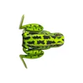 Lunkerhunt Popping frog