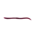 Bass Pro Shops Flick'n Shimmy Worms