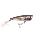 Bass Pro Shops XTS Popper
