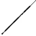 Airrus Acciaio Spinning rods