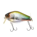 Lucky Craft BullFish