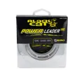 Black Cat Power Leader RS