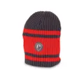 Fox Rage Beanie