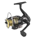Avocet Gold FD