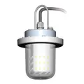 Luce Fish Attractor a LED