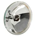Bulbo da 6” a doppio filamento