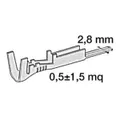 Innesto maschio in ottone