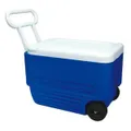 Ghiacciaie IGLOO con ruote