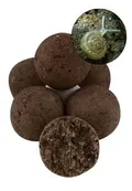 DDBAIT BOILIES FRESHWATER SNAIL CHRUNCH - DDBAIT BOILIES FRESHWA