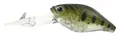 RIVER2SEA BABY CRANK - UTOPIA RIVER2SEA BABY CRANK 40F COL.BRBA1