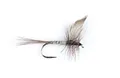Mosca FreshWater Blue Dun  Misura #12 (172412)