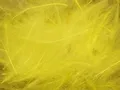Cul de Canard Petitjean Colore Light Yellow (1GR10)