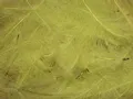 Cul de Canard Petitjean Colore Dirty Yellow (1GR14)