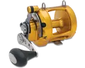 International V - 12V