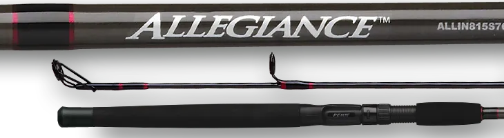 Allegiance - ALLIN815C70