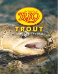 Rio Finale trafilato conico (24000)