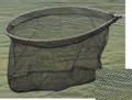 T55 F SPECIAL CARP