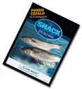 SNACK FONDO CEFALO