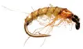 Mosca Ninfe Czeck Nymph Orange/Green #10 (AFM21610)