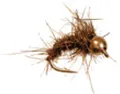 Mosca Ninfe GH Grizzly Nymph wtd dk Olive #08 (AFM22108)