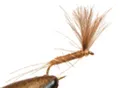 Mosca Piller Secche  V2  #12 (AP1012)