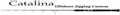 Catalina Offshore Jigging - CATSPJ175