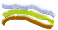 Micro Zonker di Visone Colore White (MKM01)