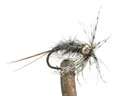 Mosca Martini Ninfa Argentina  Misura #12 (MM0512)