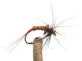 Mosca Emergenti Bujet  Misura #12 (MM0812)