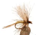 Mosca Martini Secche Verteggia #10 (MM1710)