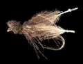 Mosca Petitjean Two-winged flies (MP10510)