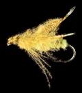 Mosca Petitjean Two-winged flies (MP10610)