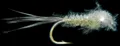 Mosca Petitjean Beadhead flies (MP131S14)