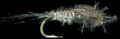 Mosca Petitjean Beadhead flies (MP134D14)