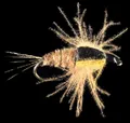 Mosche Petitjean Mayflies Ninfe MP33  Misura #12 (MP3312)