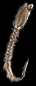 Mosca Petitjean Midges Larva  MP38  Misura #14 (MP3814)