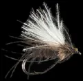 Mosca Petitjean Midjes Adult MP67  Misura #14 (MP6714)