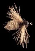Mosca Petitjean Two-winged flies (MP7114)