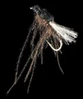 Mosca Petitjean Two-winged flies (MP7314)