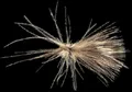 Mosca Petitjean Caddisflies Adult (MP8708)
