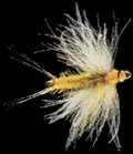 Mosca Petitjean Caddisflies Spent (MP8808)