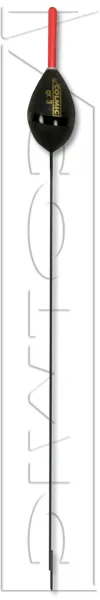 NETTUNO