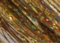 Holo Fibers  Medium 150 fili Colore Holo Black (THF32H145)