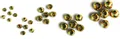 Testine in ottone Colore Gold - Ø 2,4 mm (TOT24G)
