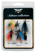 SALMON COLLECTION