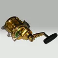EVEROL REEL TWO SPEED ( 30 Lbs )