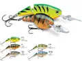 Jointed Shad Rap - RAPJSR04BCF