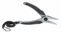 Exotic Pinza