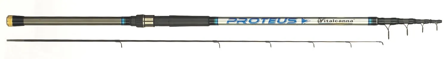 Proteus - sez 5+1 - mt. 3.00 - 100/200 g