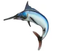 MARLIN ITALCANNA in Ceramica - cm. 40